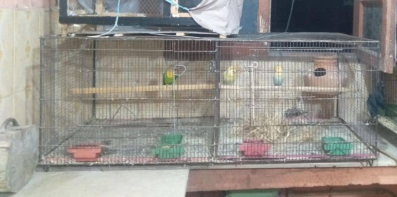 cage for sale 2x2 0