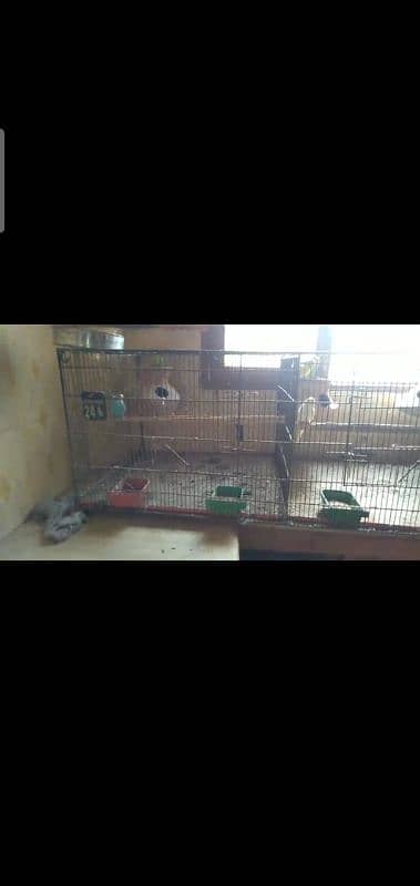 cage for sale 2x2 1