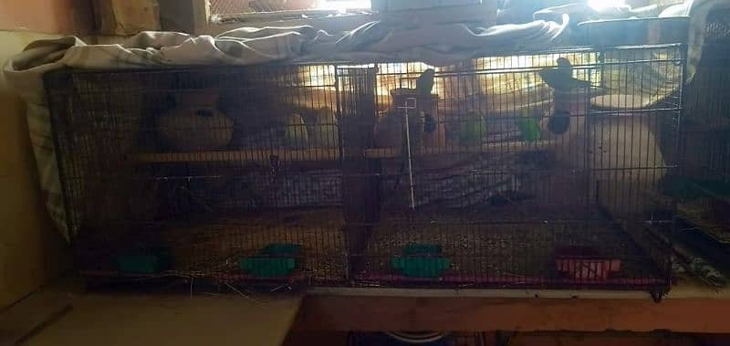 cage for sale 2x2 2