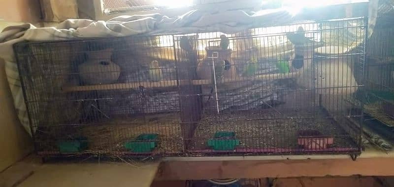 cage for sale 2x2 4