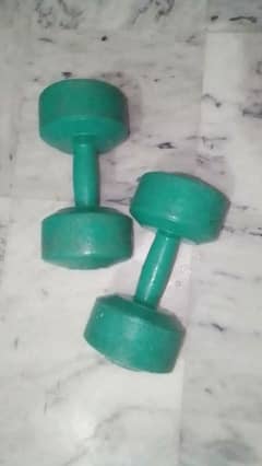 5 KG Dumbbells for Home