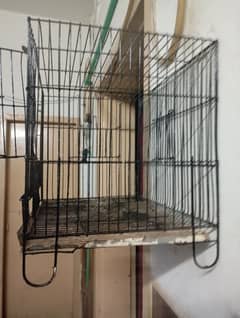 Bird Cage