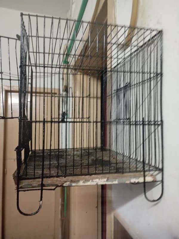 Bird Cage 0