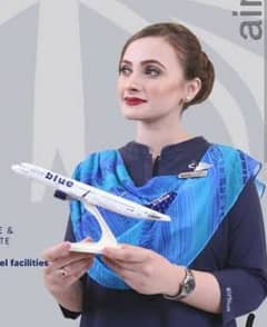 Jobs For Females Cabin Crew in Airblue