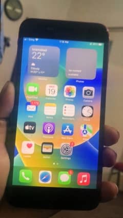 8plus pta approved cheap price