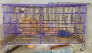 Cage for Sale 1.5/3 feet