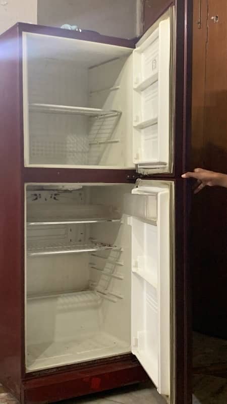 PEL REFRIGERATOR 1