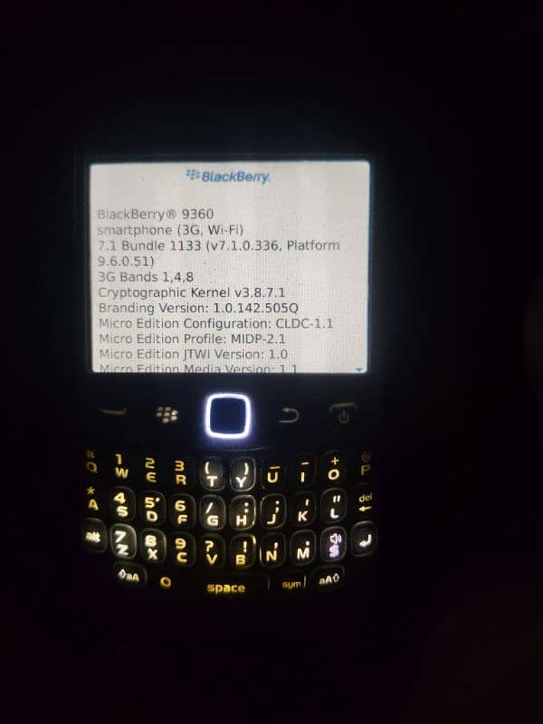 Blackberry Curve 9360 whiteo 2