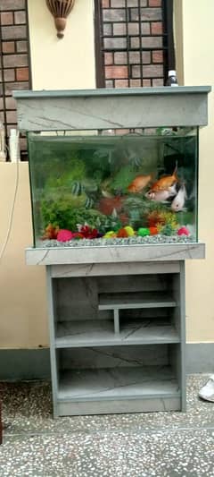 Aquarium