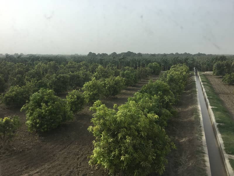 46 Acre In Nasarpur Full Abad Agricultural Land 1