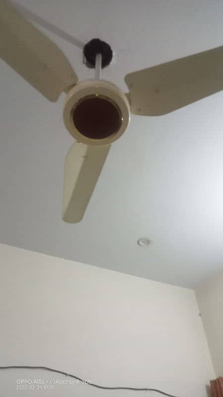 Ceiling Fans For Sale 1