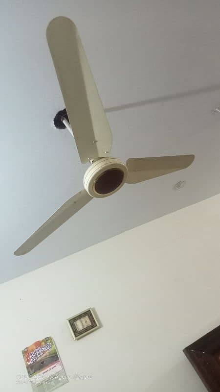 Ceiling Fans For Sale 2