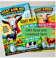 Goat/ Cow/ Buffalo Milk pure organic of Farm