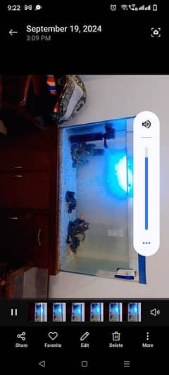 aquarium for sale