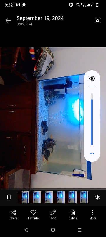 aquarium for sale 0