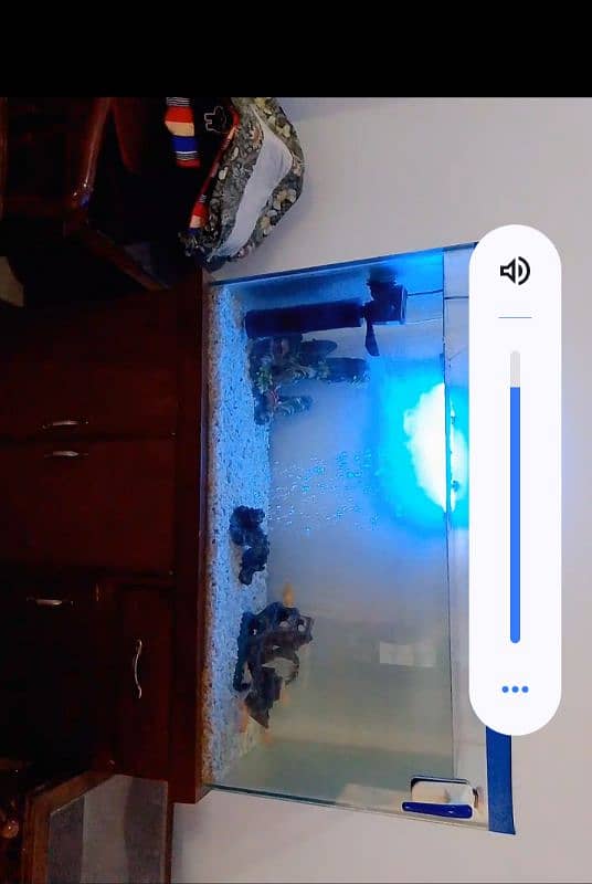 aquarium for sale 1