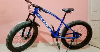 Fat bike