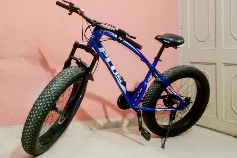 Fat bike 1