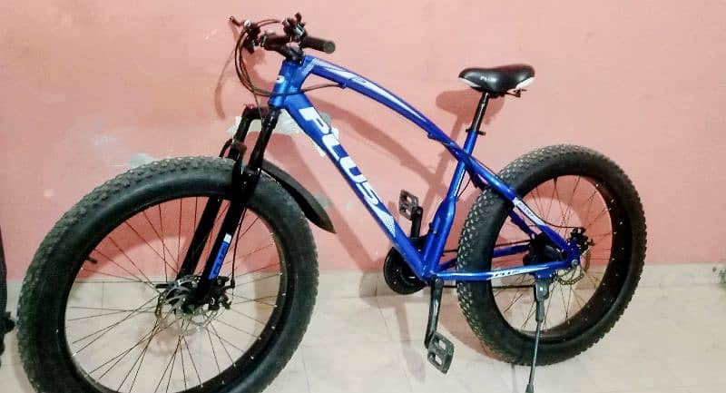 Fat bike 2