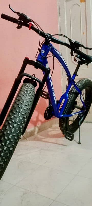 Fat bike 3