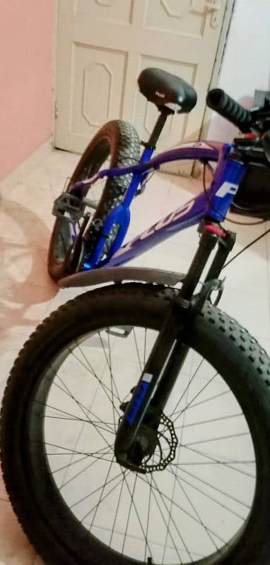 Fat bike 4