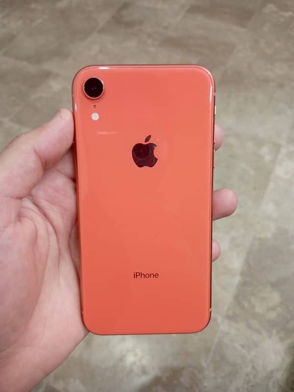 iphone XR 1