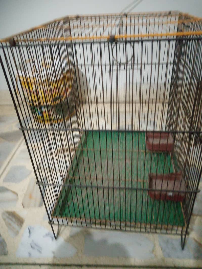 Folding Cage for Small Birds Contact 03362848259 2