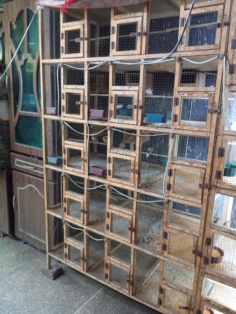 cage for sale 0