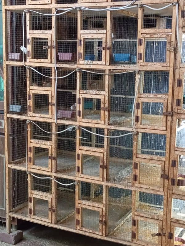 cage for sale 1