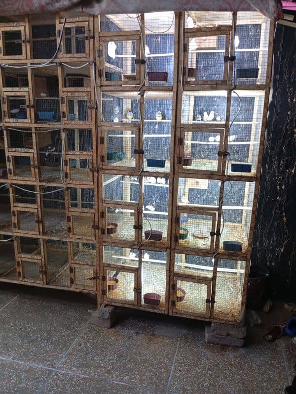 cage for sale 2