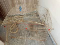 Cage parrot excellent condition