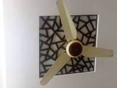 Ac Dc Pak fan for sale