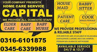 House Maid, Babysitter, Patient Care, Couple,  Driver, Maids, Cook