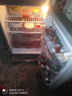 pel fridge