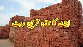 Urgent delivery Bricks for sale near your home