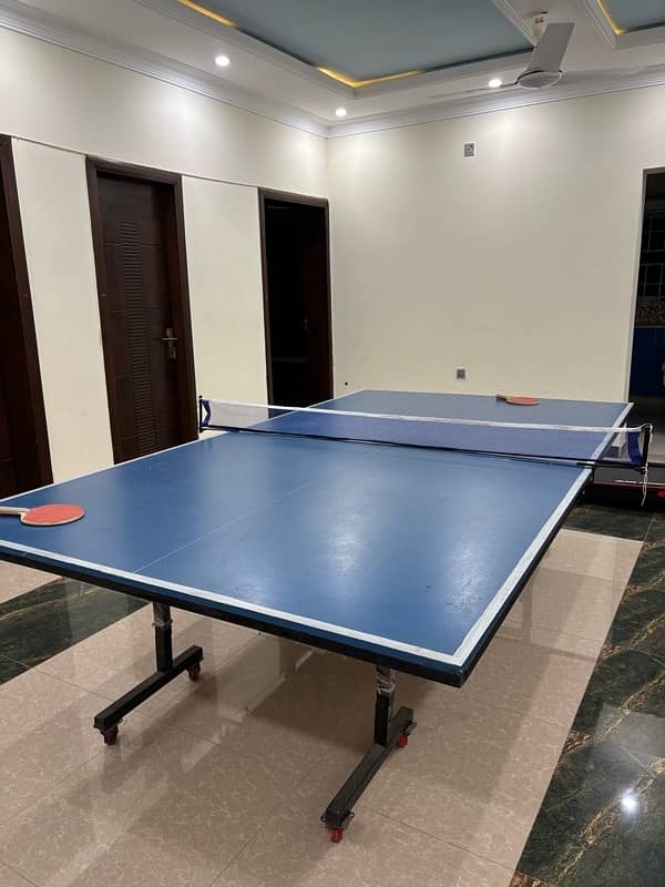 Table Tennis With Rackets and Net 0