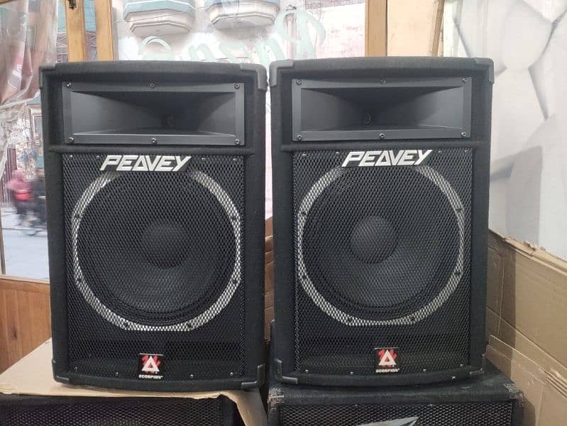 Peavey Sp5XL Speakers 0