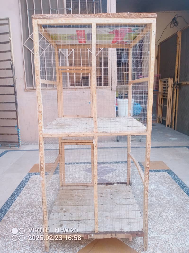 Aseel Hen Cage 1