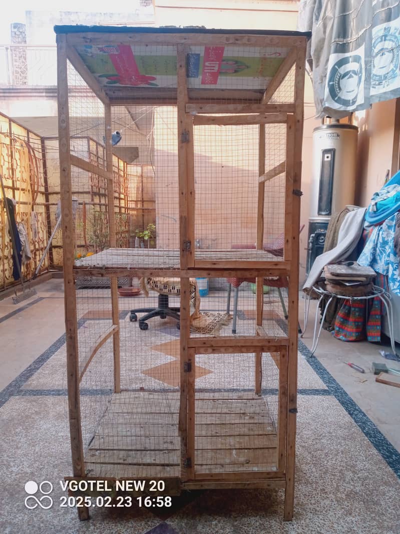 Aseel Hen Cage 2