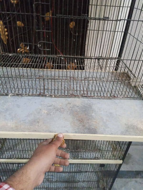 cage for sale 2