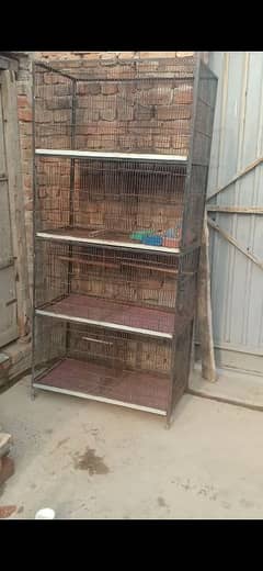 love birds cage