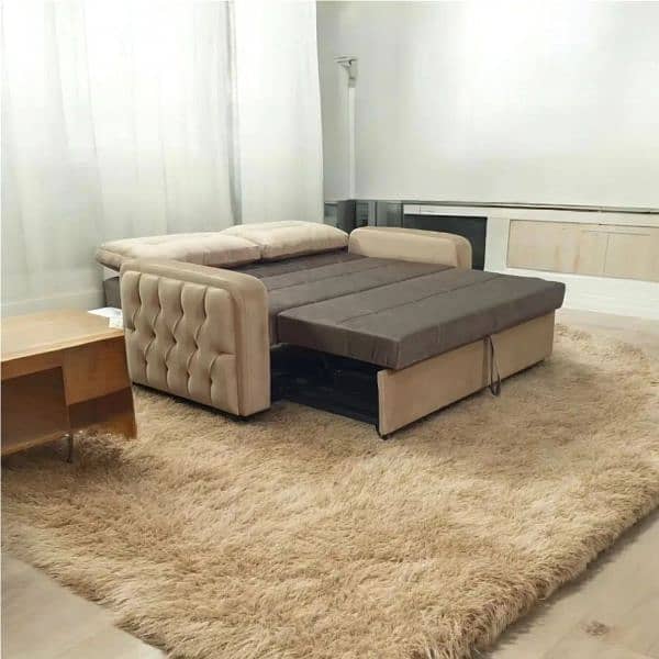 2 Seater Folding Sofa Cum Bed ~ 10 year warranty 2