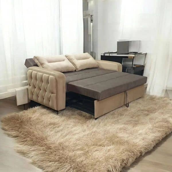 2 Seater Folding Sofa Cum Bed ~ 10 year warranty 4