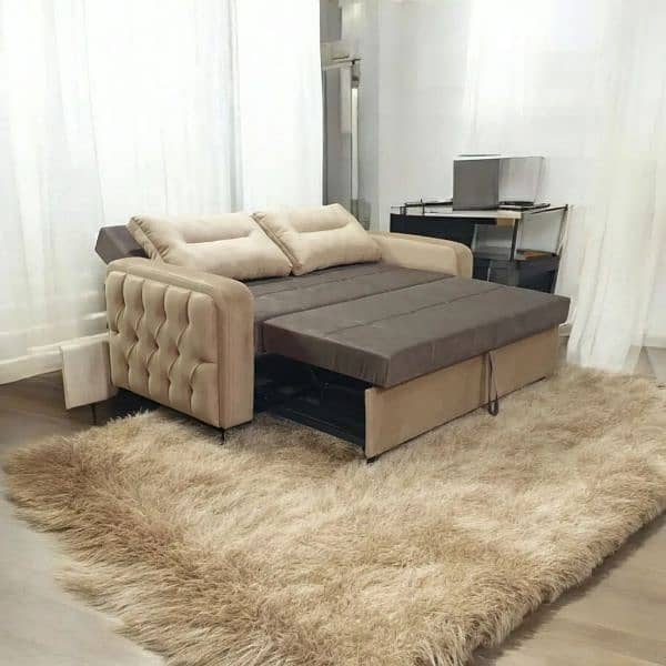 2 Seater Folding Sofa Cum Bed ~ 10 year warranty 5