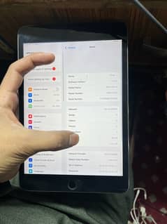 ipad mini 4