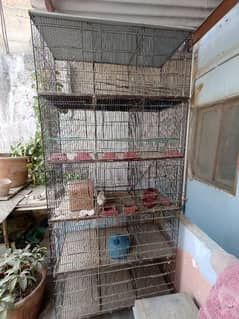 15 portion cage available