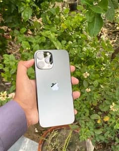 Iphone 13 Pro (NON PTA)