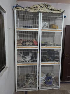 Brids cage Ramzan offer 20000