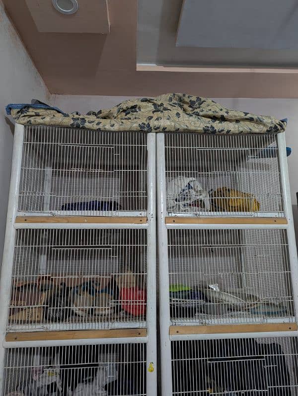 Brids cage 2