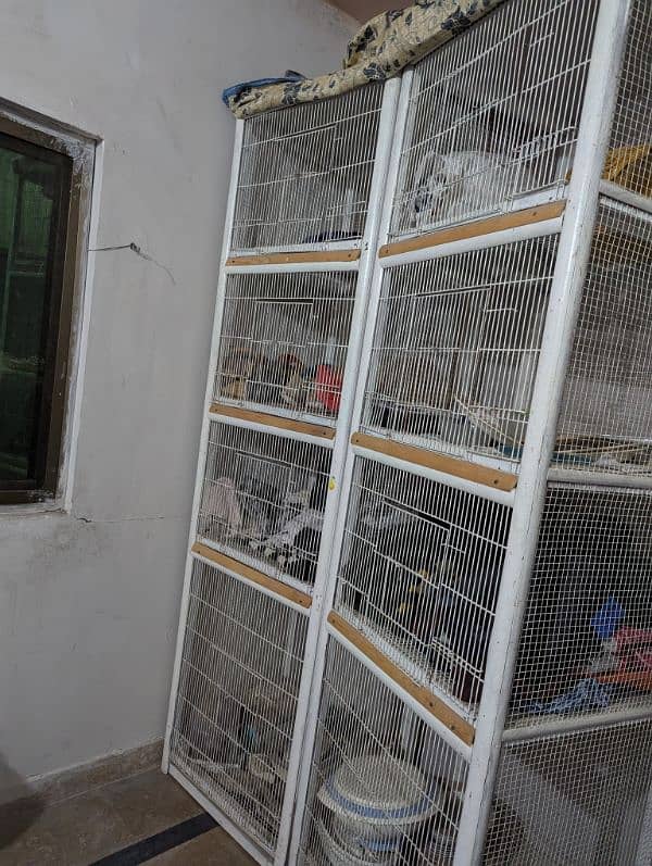 Brids cage 7